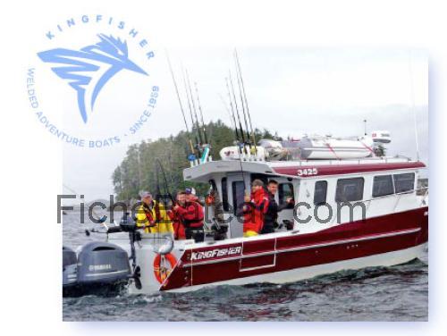Kingfisher 500 fiche technique et avis
